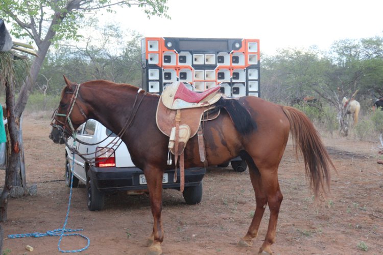 Fotos da V Corrida de Cavalos do Prado Martinho Piauí no povoado Currais