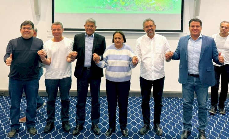 Rafael Fonteles chega à Holanda com outros governadores do Nordeste para evento sobre Hidrogênio Verde