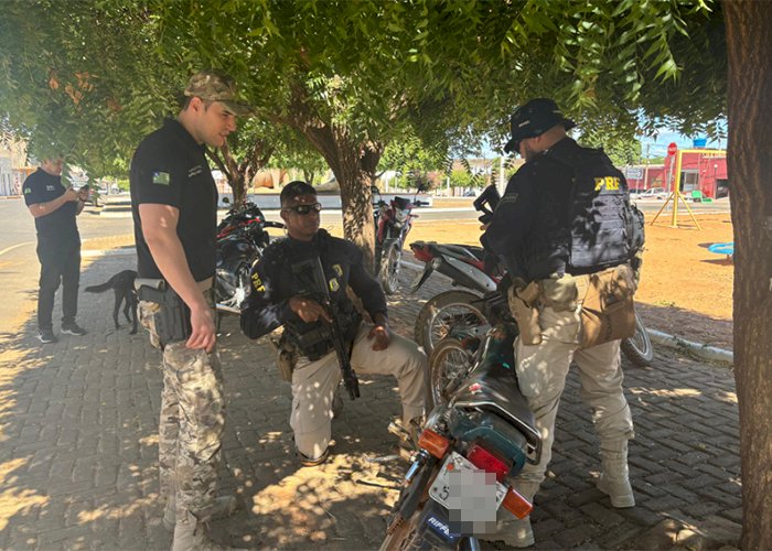 Polícia apreende cerca de 50 veículos em lojas que vendiam peças roubadas e furtadas no Sul do Piauí